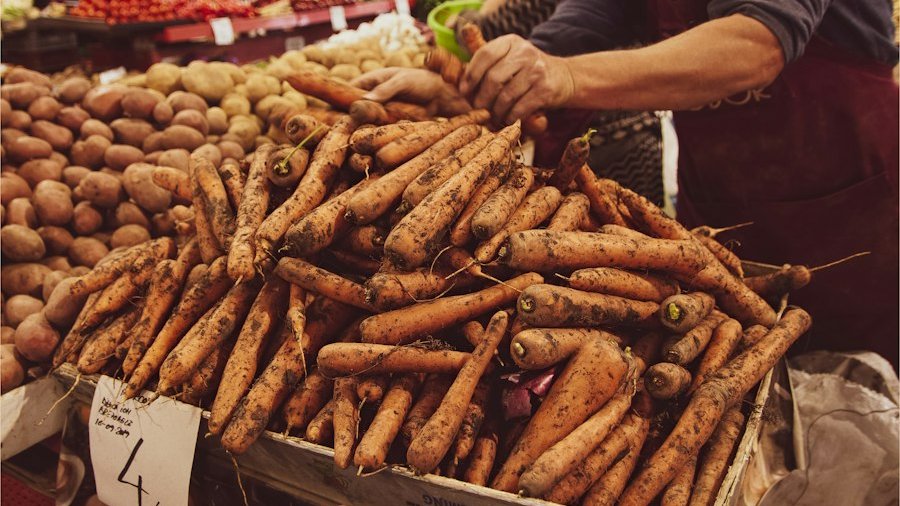 world food market bucurești